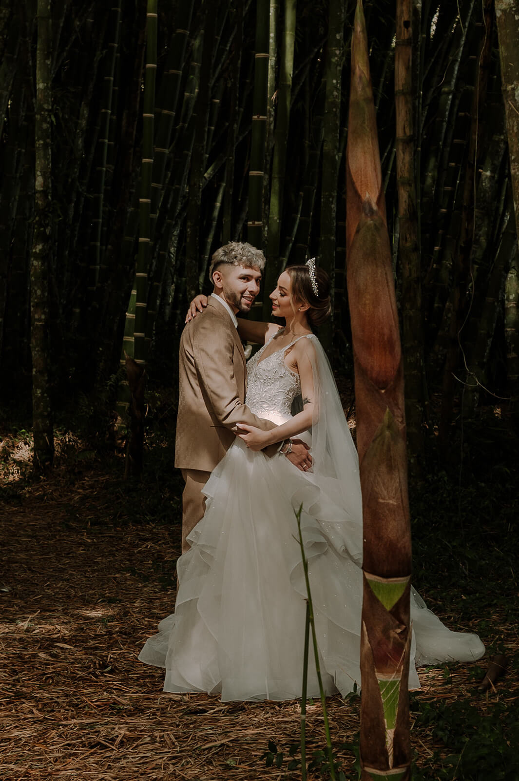 Descripción de la imagen 34